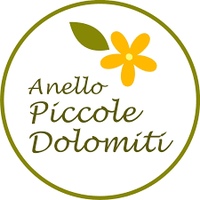 Anello Piccole Dolomiti: "L'Anello Card"