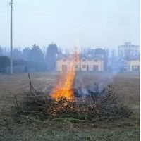 Delitto di: Combustione illecita di rifiuti