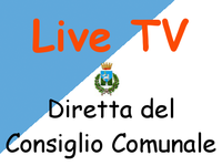 Il Consiglio Comunale in diretta