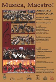 Concerti di Santa Cecilia