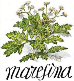 Festa della maresina