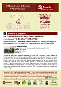 L'elefante bianco