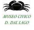 logo museo piccolo.jpg